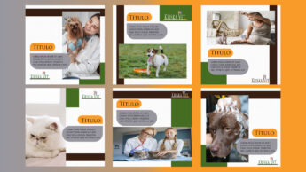 Pack-6posts-Kriska-vet